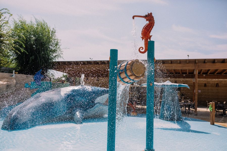 Hippocampe dans la piscine