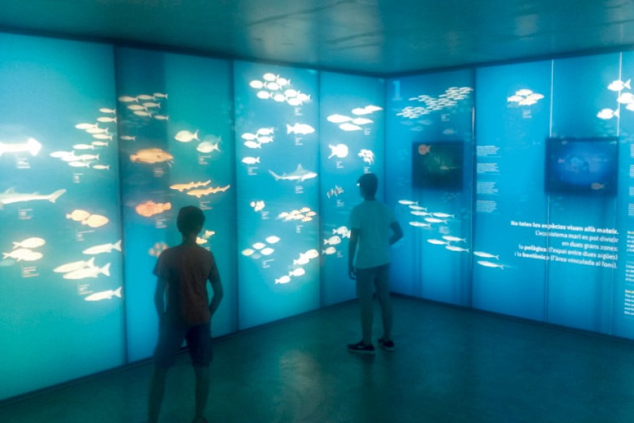 Exposición Museo de la Pesca Palamós