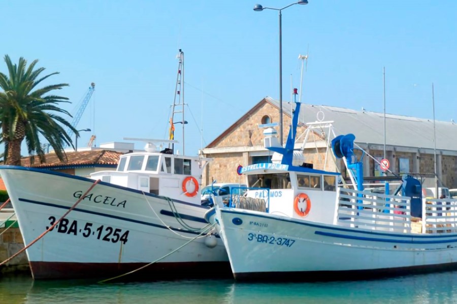 Barcas Museo de la Pesca Palamós